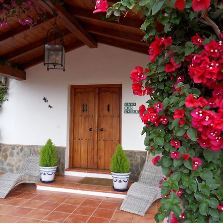 Bed & Breakfast | Guest House Casa Don Carlos Alhaurín el Grande Kültér fotó