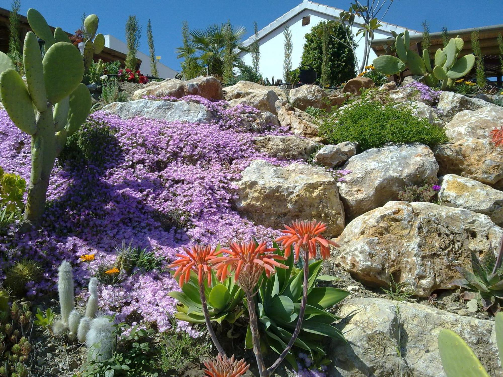 Bed & Breakfast | Guest House Casa Don Carlos Alhaurín el Grande Kültér fotó