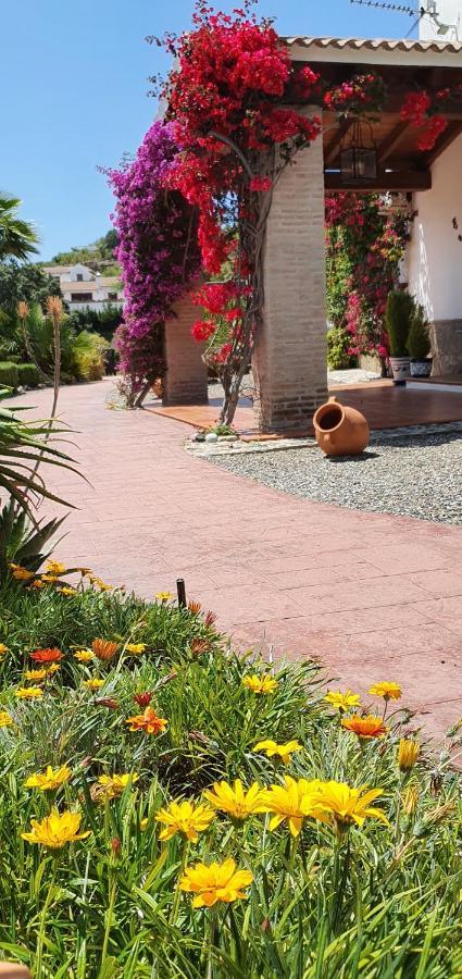 Bed & Breakfast | Guest House Casa Don Carlos Alhaurín el Grande Kültér fotó